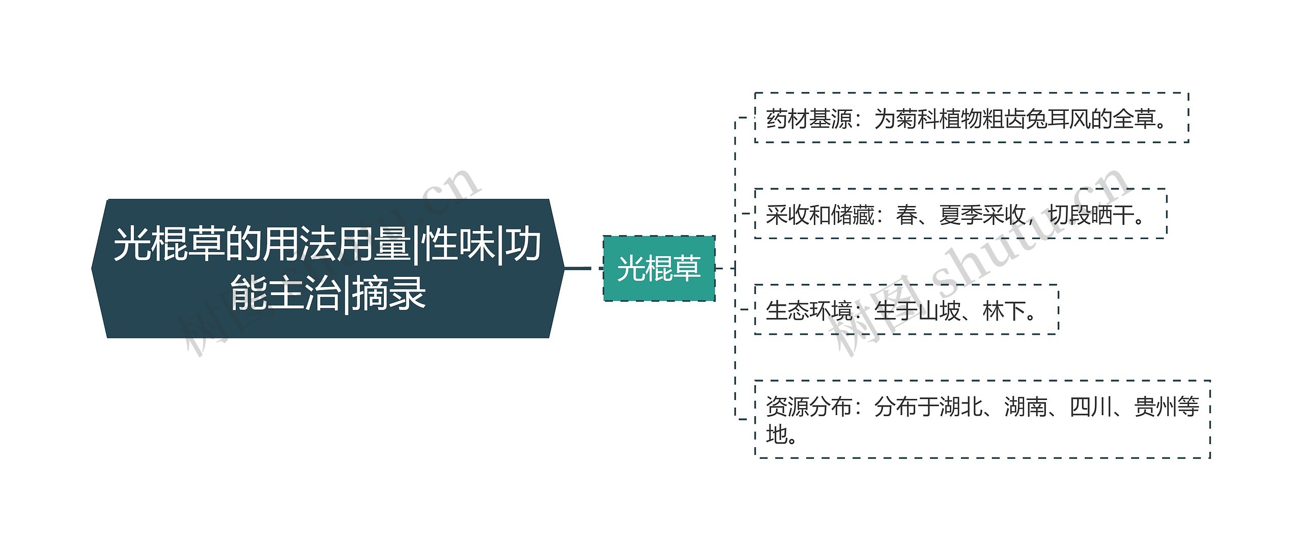 光棍草的用法用量|性味|功能主治|摘录思维导图