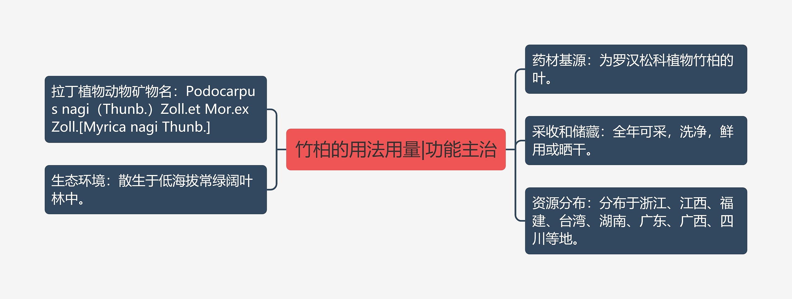 竹柏的用法用量|功能主治