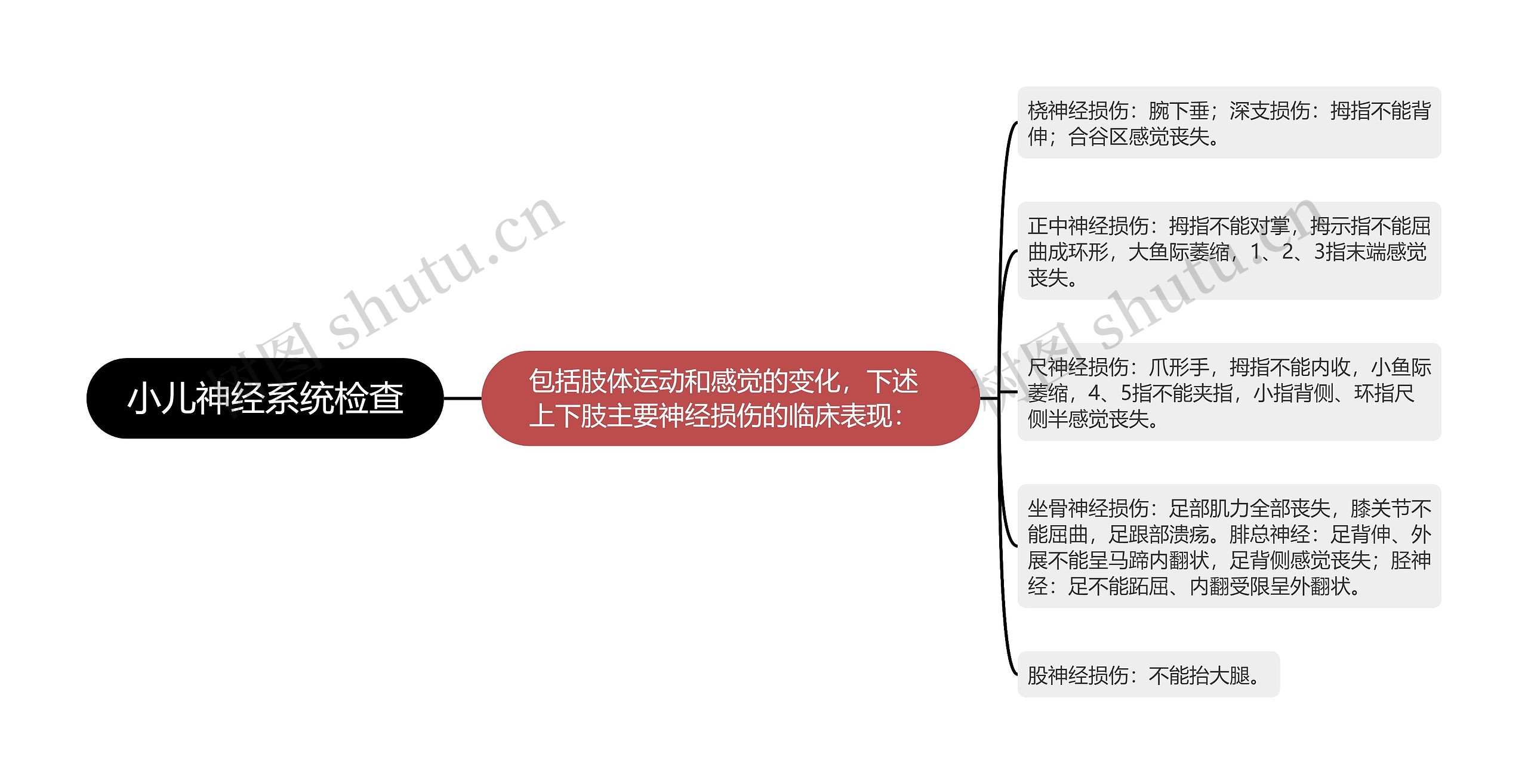 小儿神经系统检查思维导图