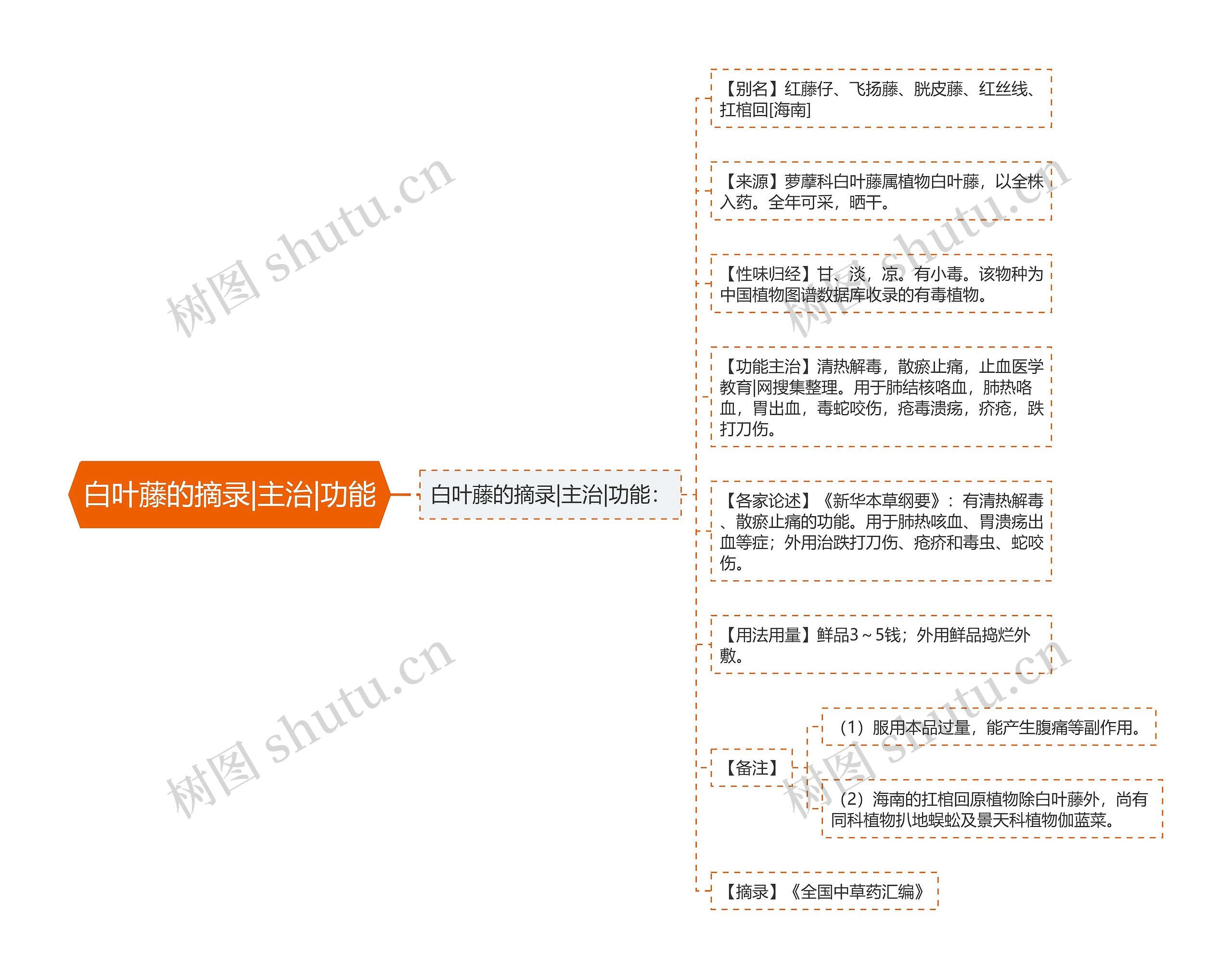 白叶藤的摘录|主治|功能思维导图