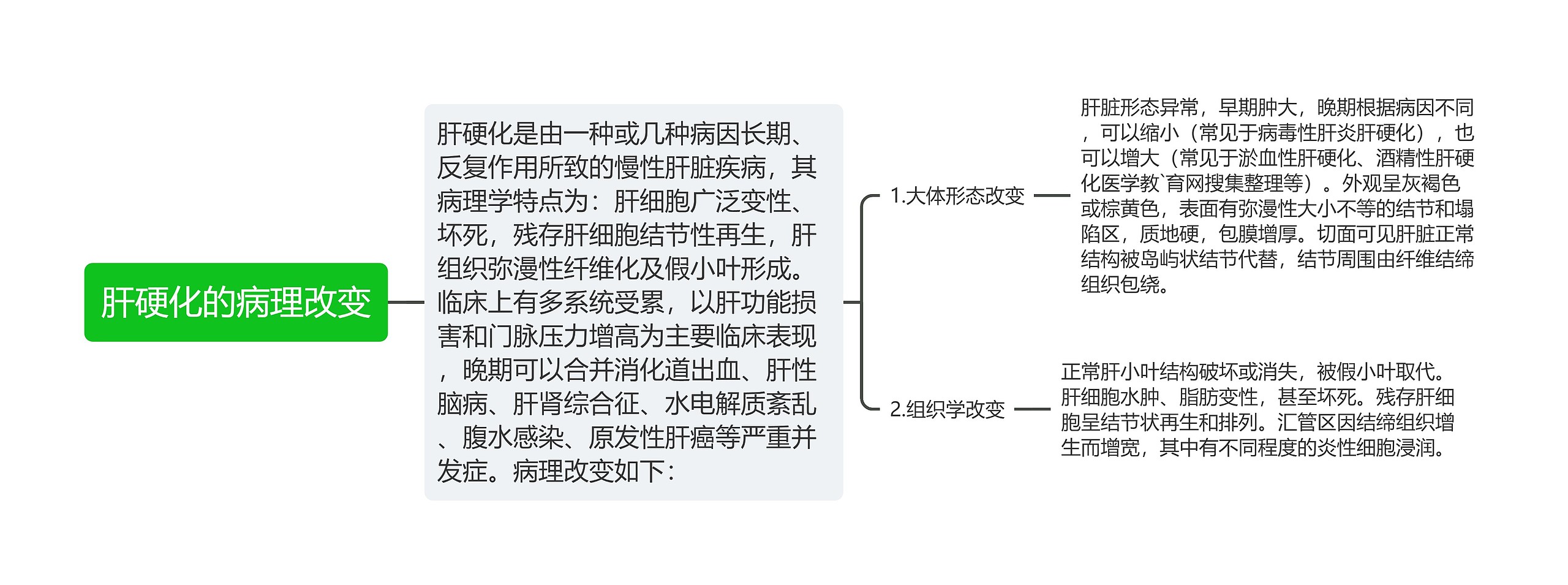 肝硬化的病理改变