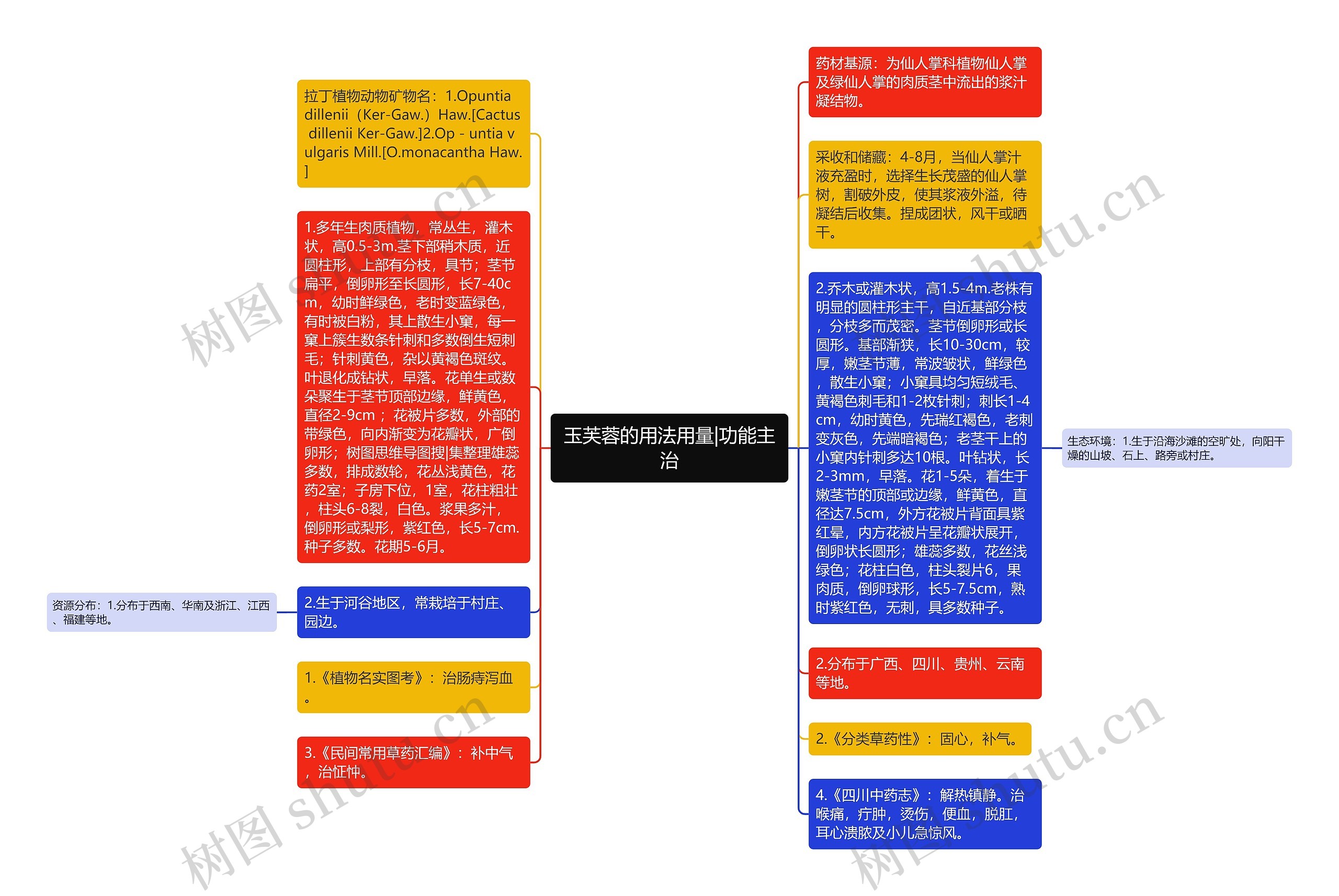 玉芙蓉的用法用量|功能主治思维导图