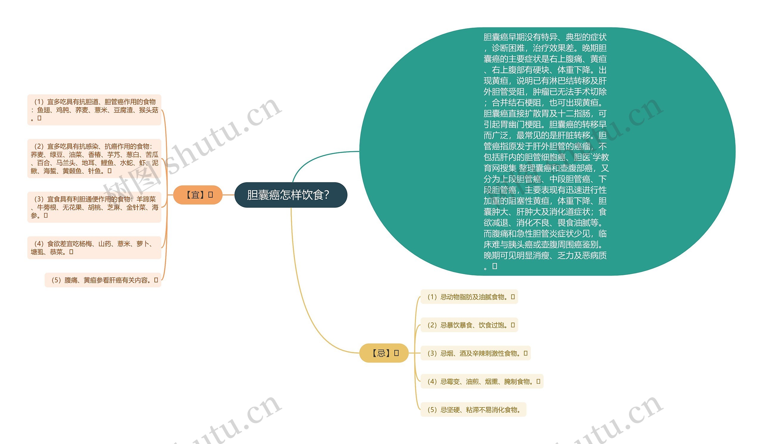 胆囊癌怎样饮食？思维导图