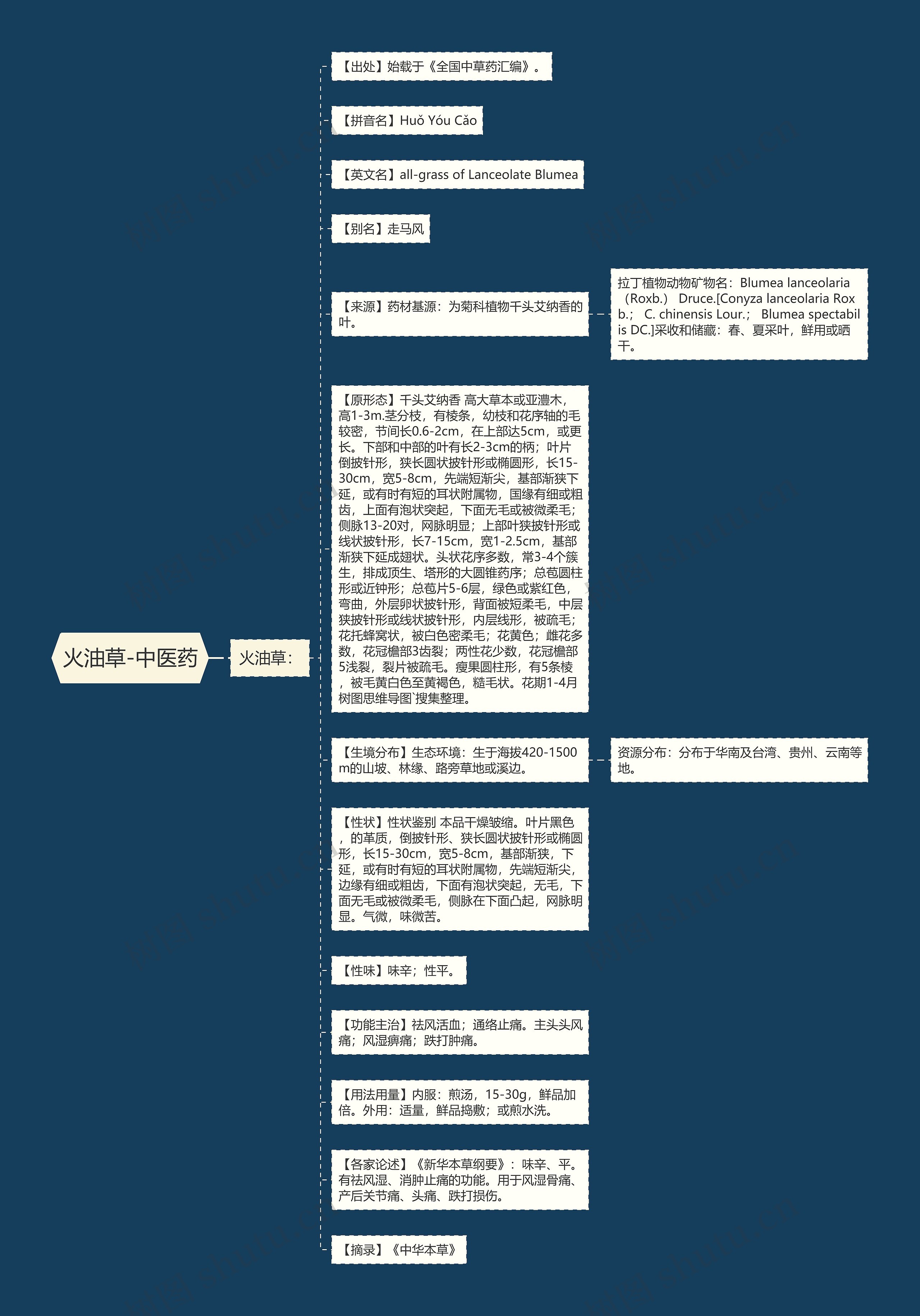 火油草-中医药思维导图