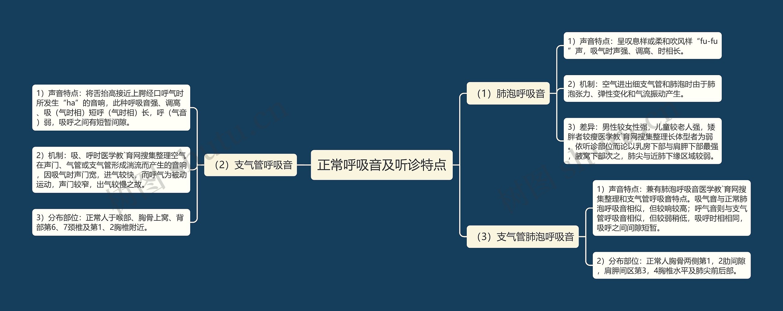 正常呼吸音及听诊特点思维导图