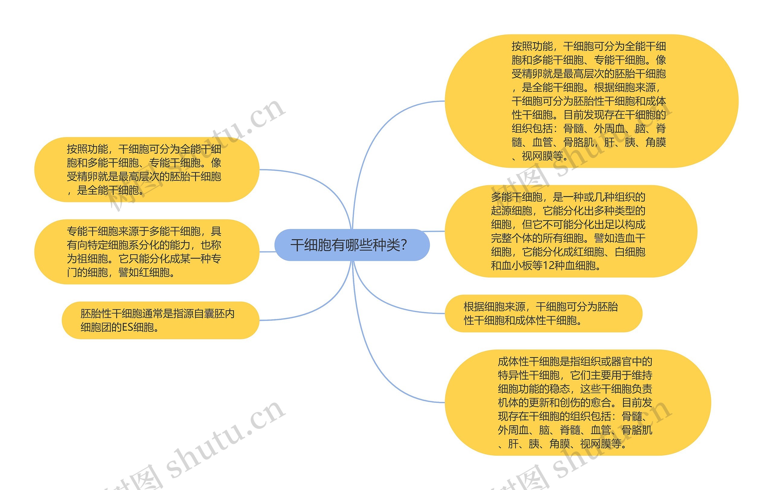 干细胞有哪些种类？