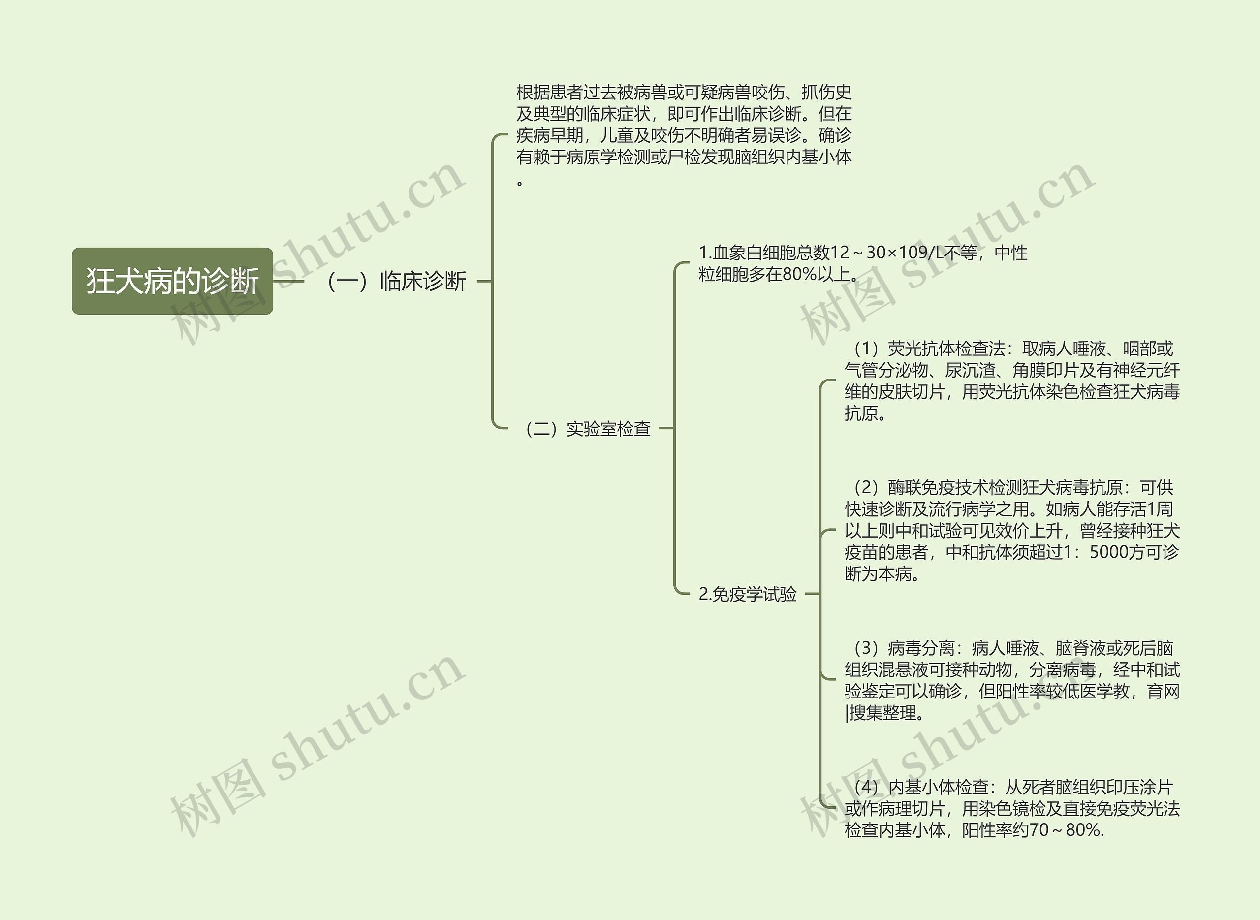 狂犬病的诊断思维导图