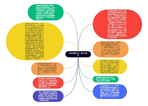 造血细胞生成、调控与破坏