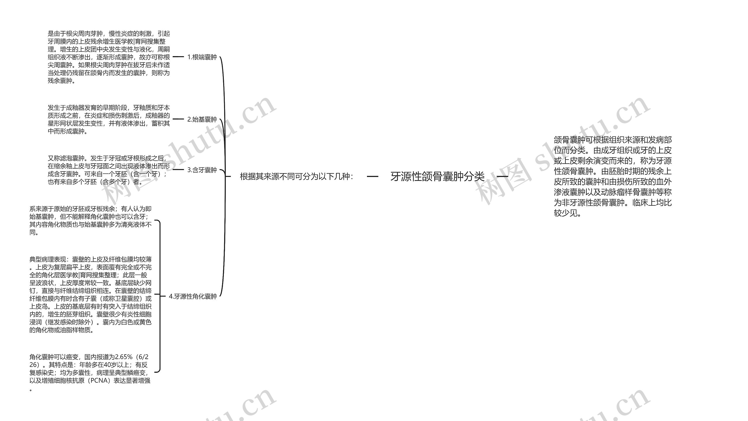 牙源性颌骨囊肿分类