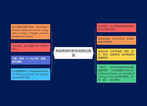 钝齿青荚叶的功效|用法用量