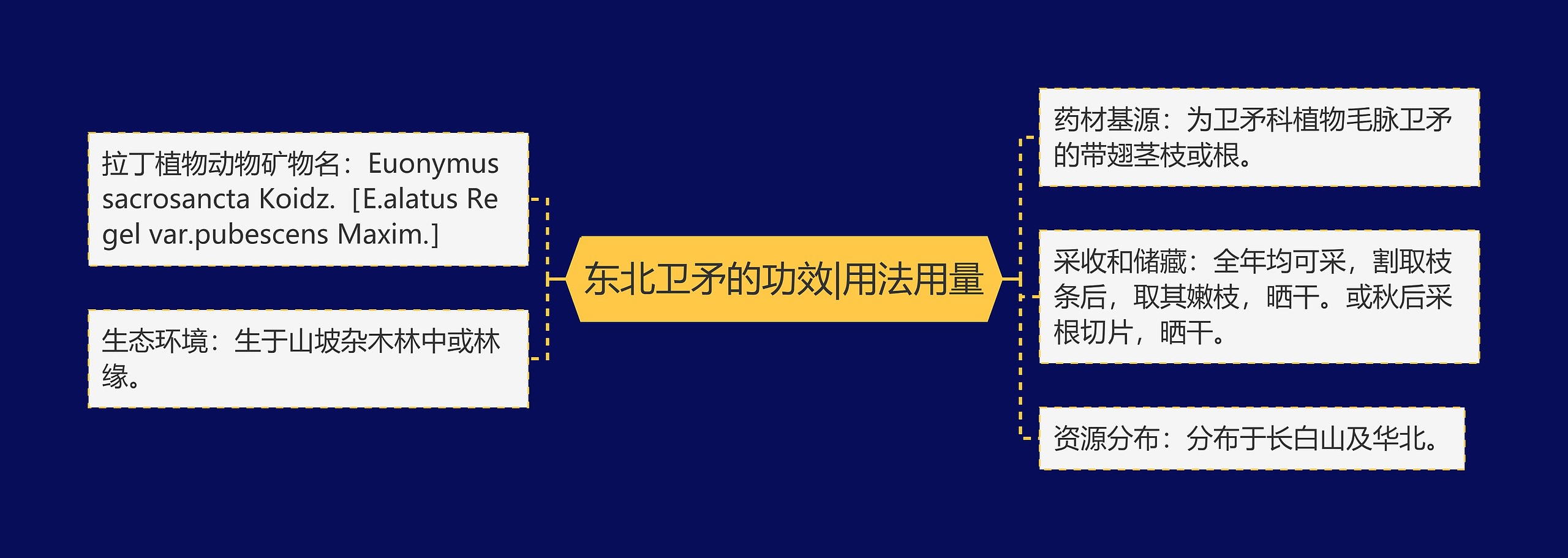 东北卫矛的功效|用法用量思维导图