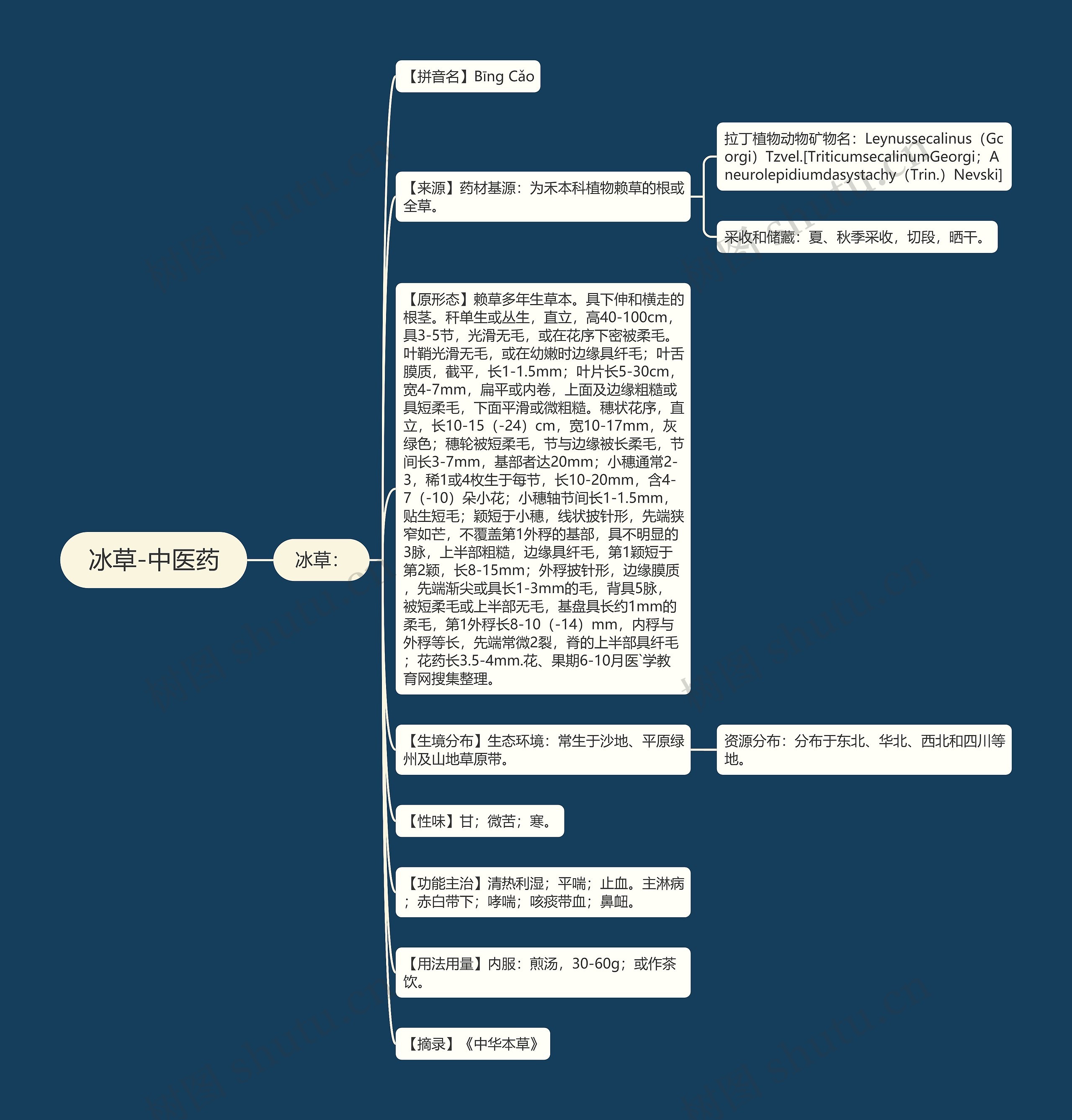 冰草-中医药 冰草-中医药