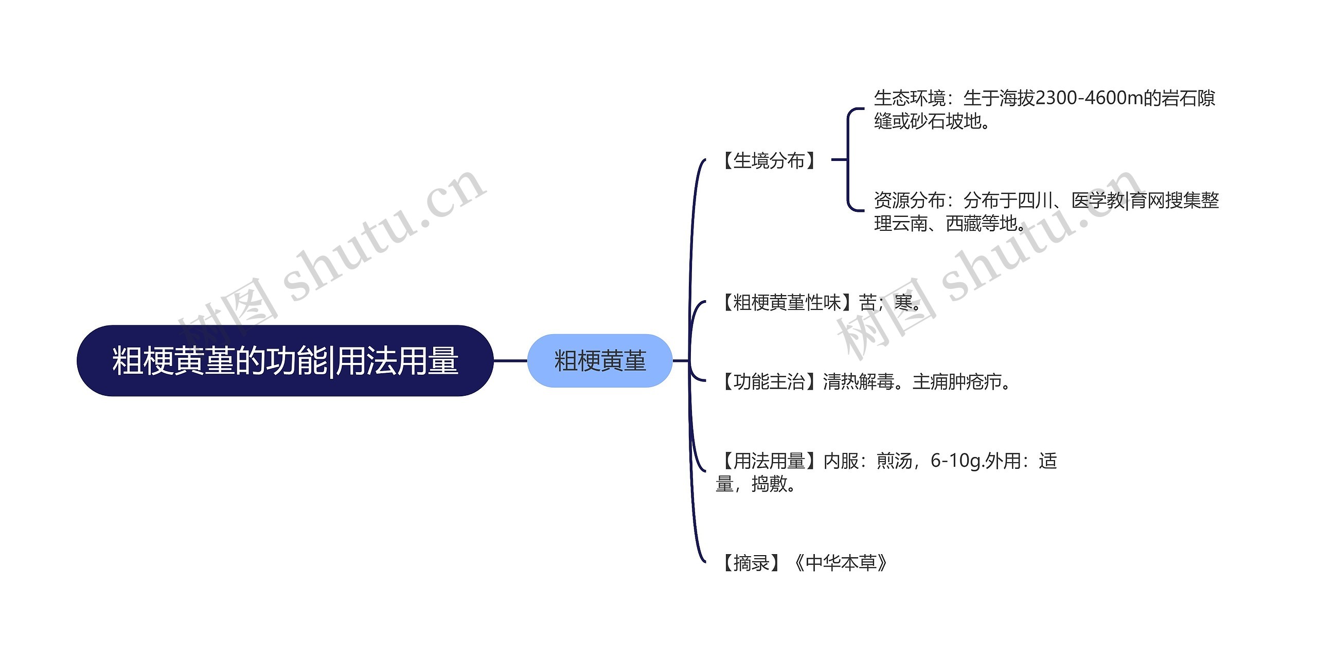 粗梗黄堇的功能|用法用量思维导图