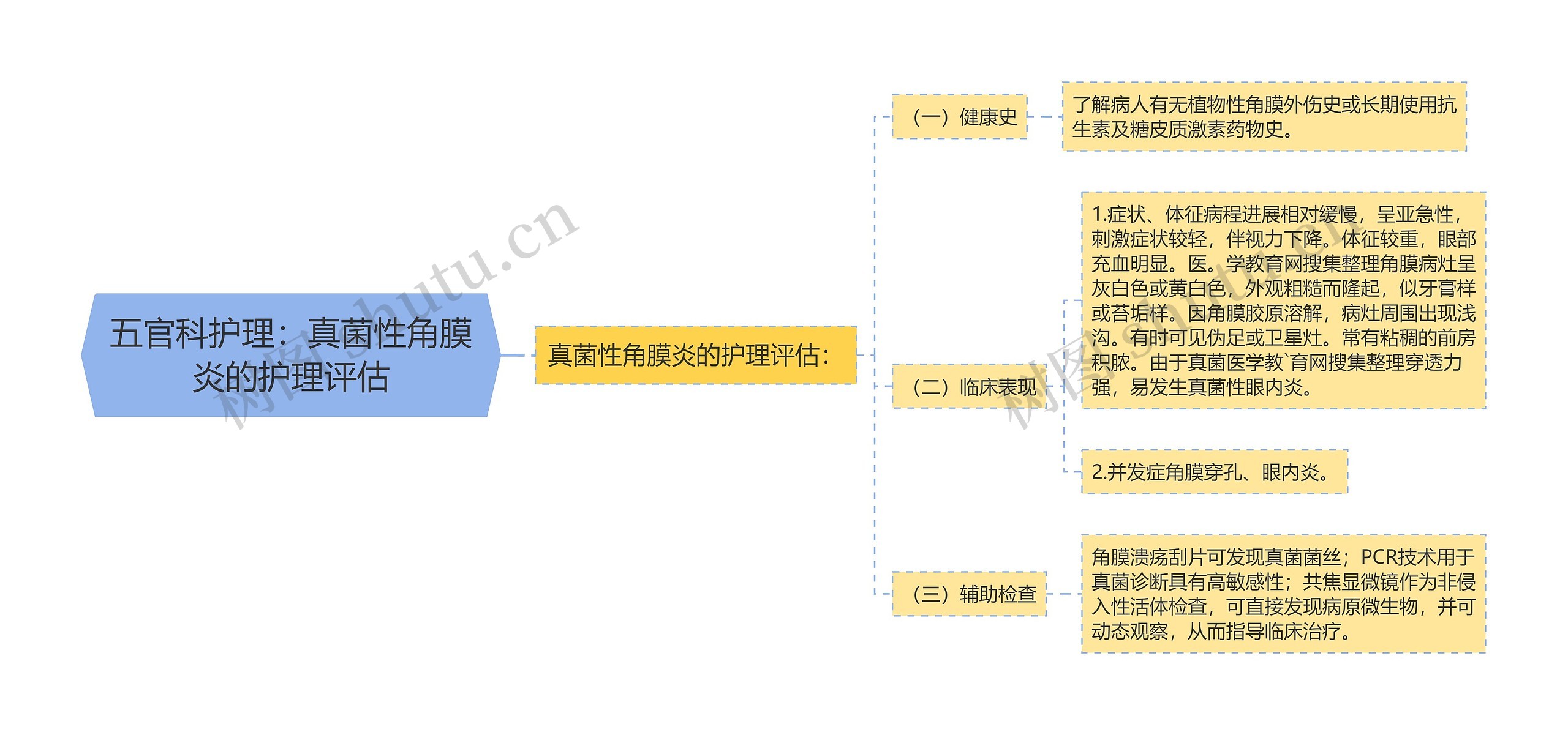 五官科护理：真菌性角膜炎的护理评估思维导图