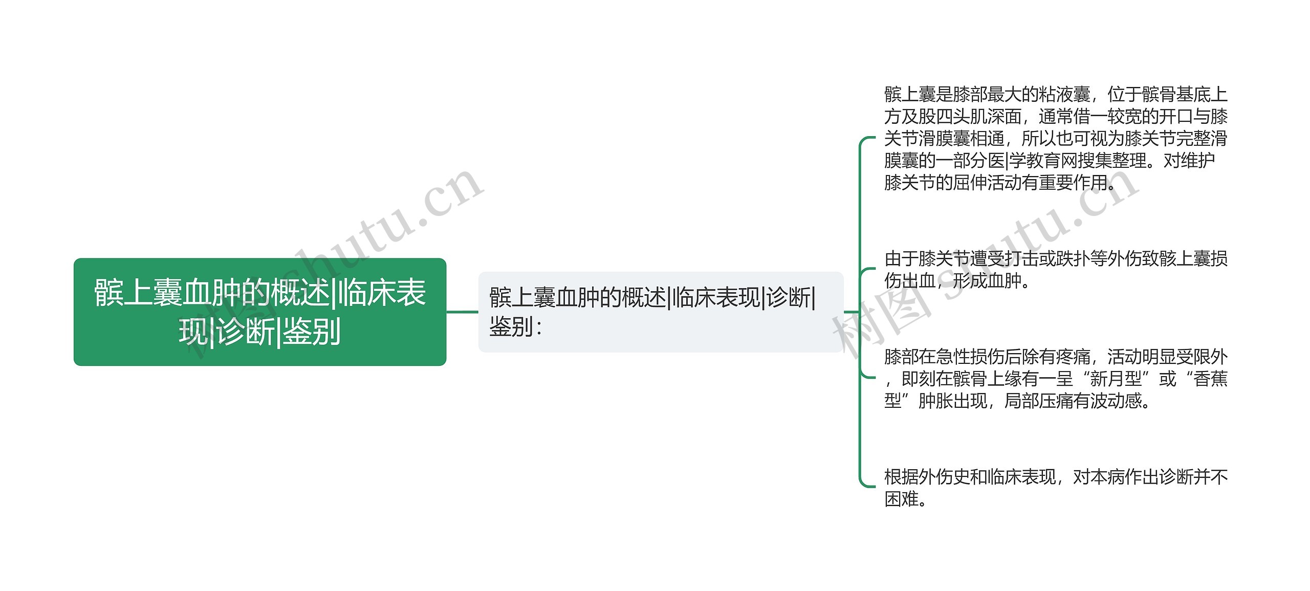 髌上囊血肿的概述|临床表现|诊断|鉴别 髌上囊血肿的概述|临床表现|诊断|鉴别
