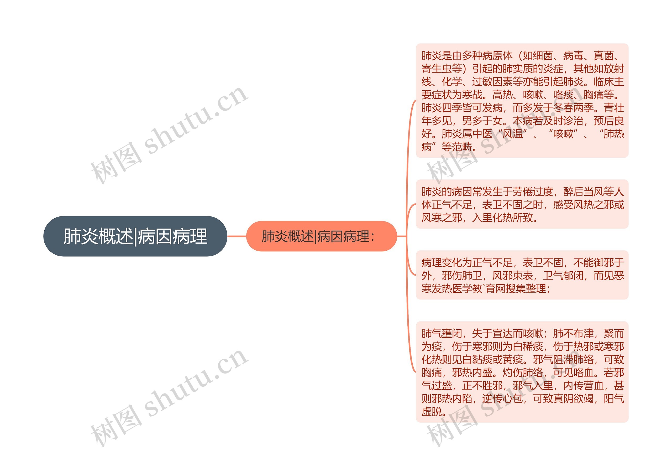 肺炎概述|病因病理思维导图