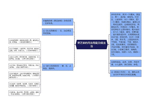 野芝麻的用法用量|功能主治