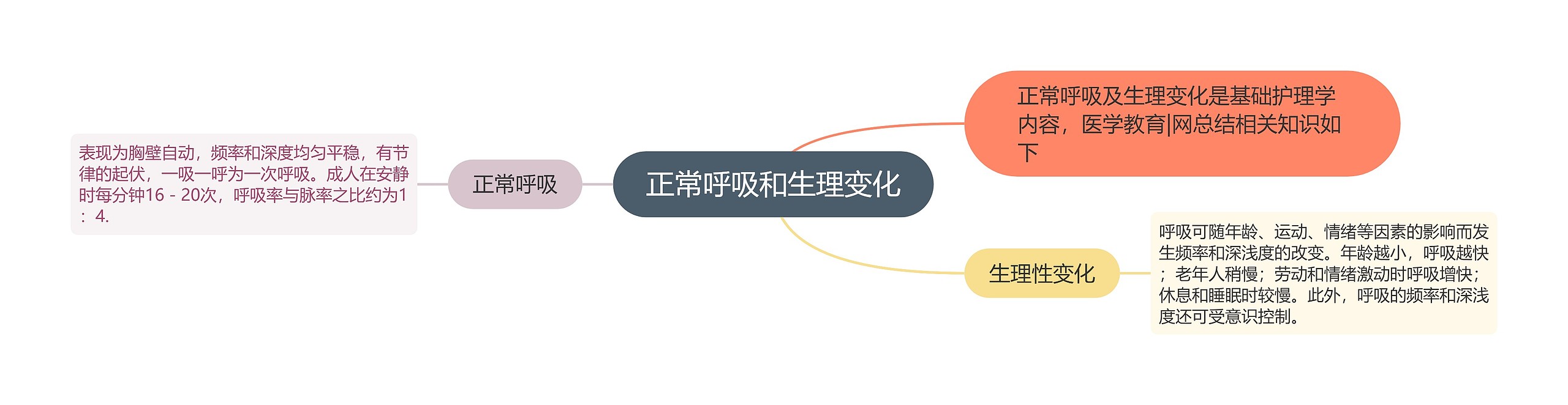 正常呼吸和生理变化 正常呼吸和生理变化