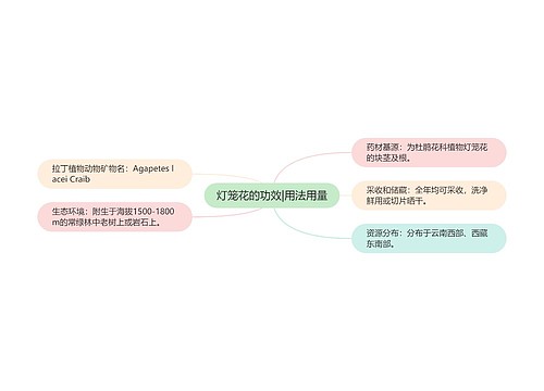 灯笼花的功效|用法用量