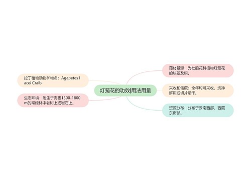 灯笼花的功效|用法用量