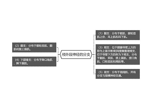 颅外段神经的分支
