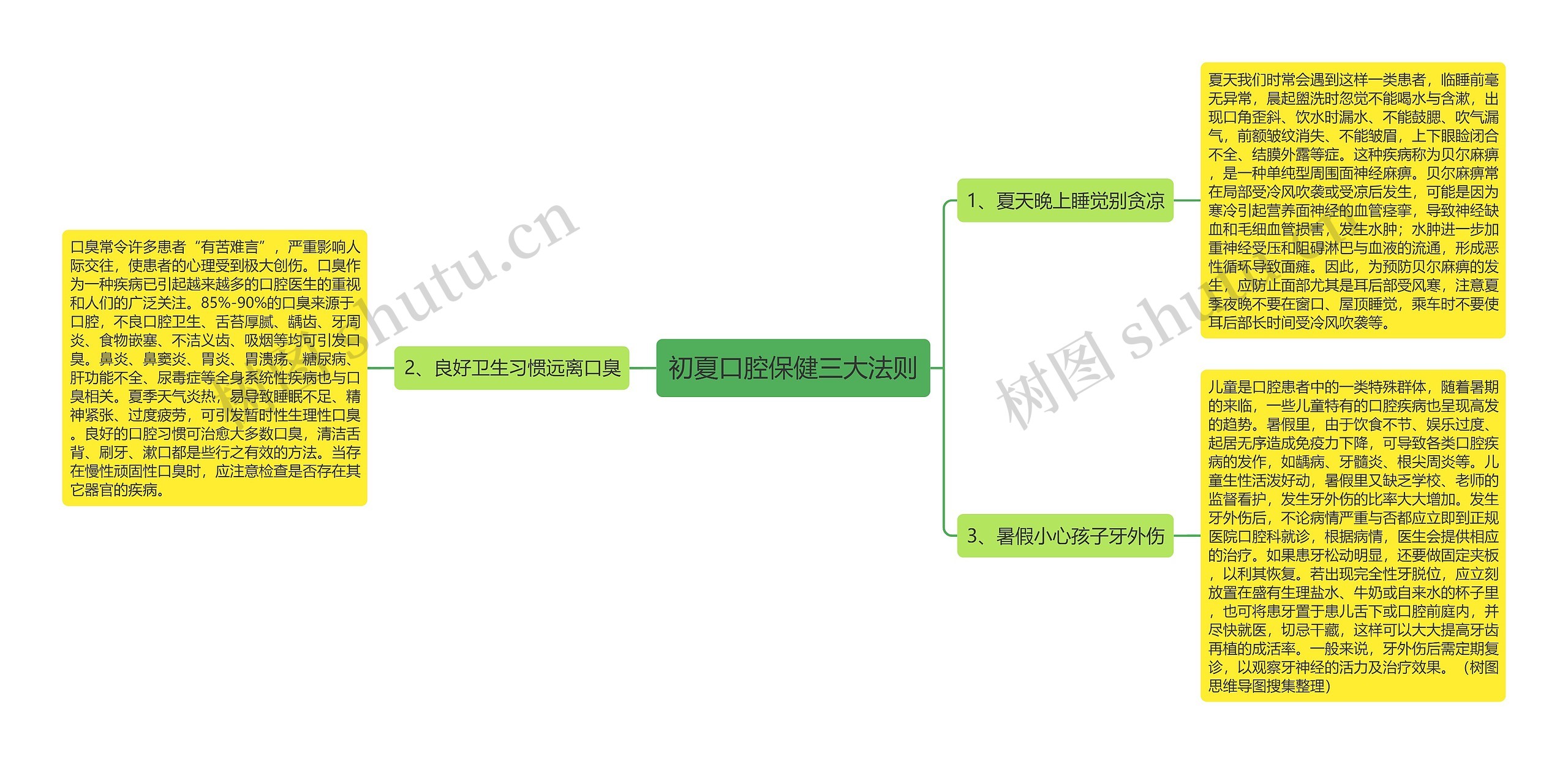 初夏口腔保健三大法则思维导图