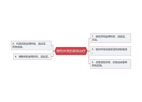 烧伤休克的其他治疗