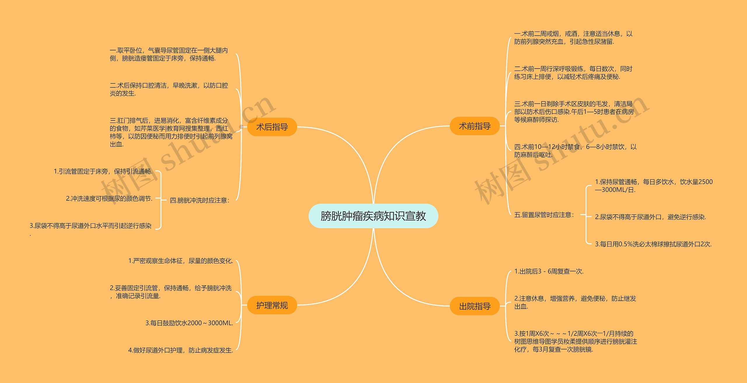 膀胱肿瘤疾病知识宣教思维导图