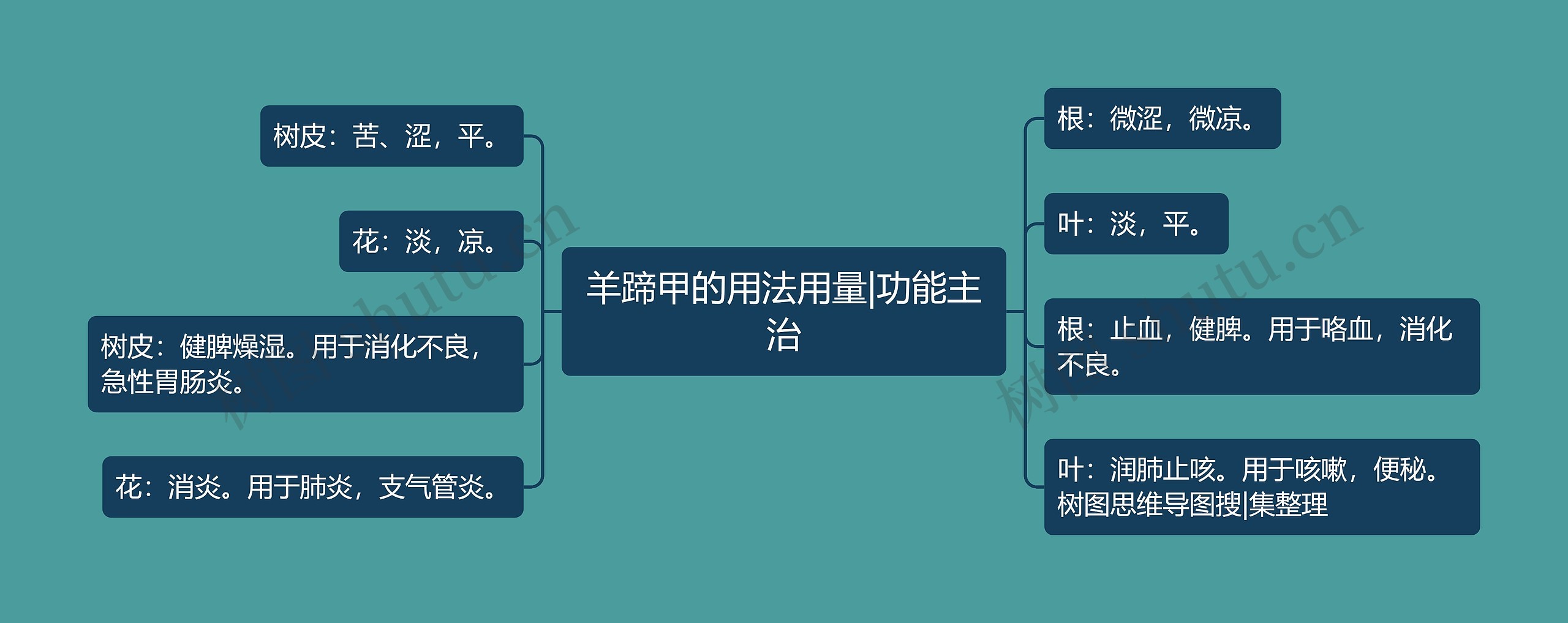 羊蹄甲的用法用量|功能主治思维导图