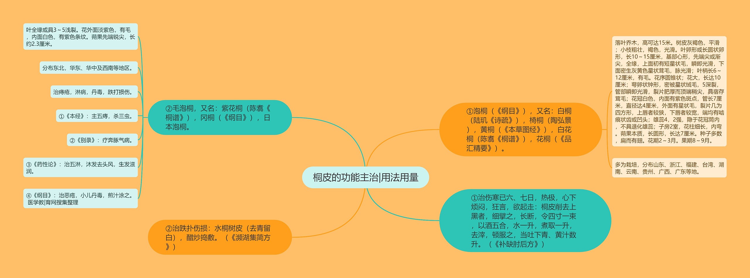 桐皮的功能主治|用法用量 桐皮的功能主治|用法用量