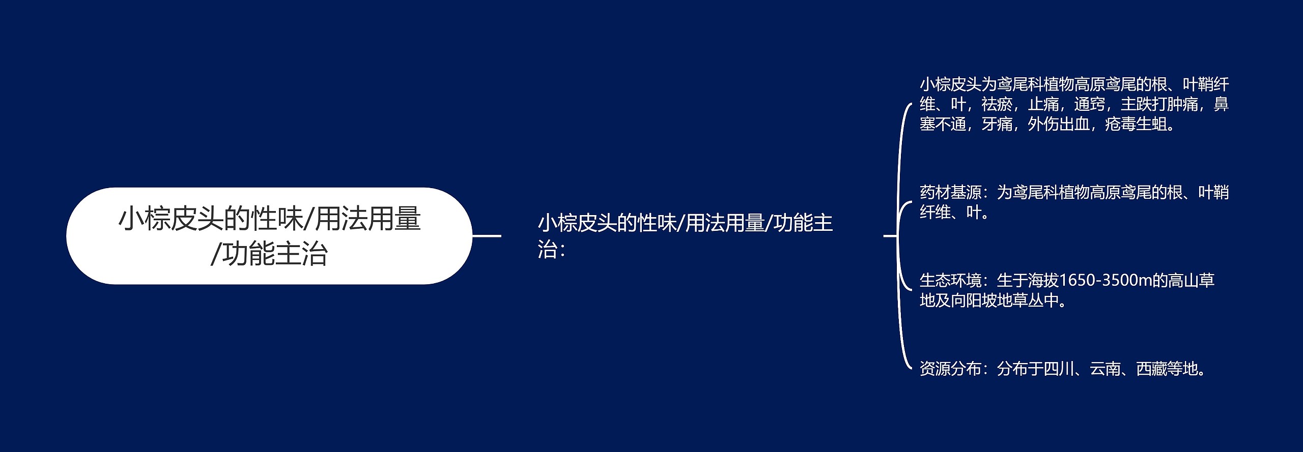 小棕皮头的性味/用法用量/功能主治 小棕皮头的性味/用法用量/功能主治