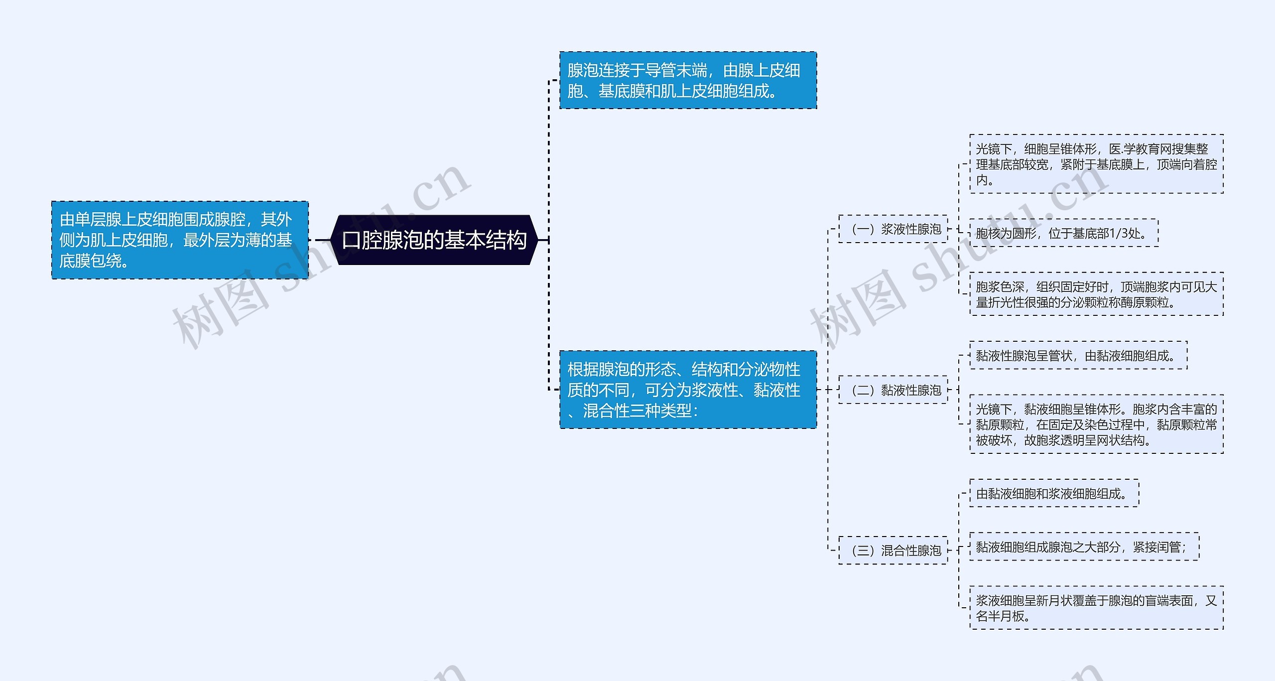 口腔腺泡的基本结构思维导图