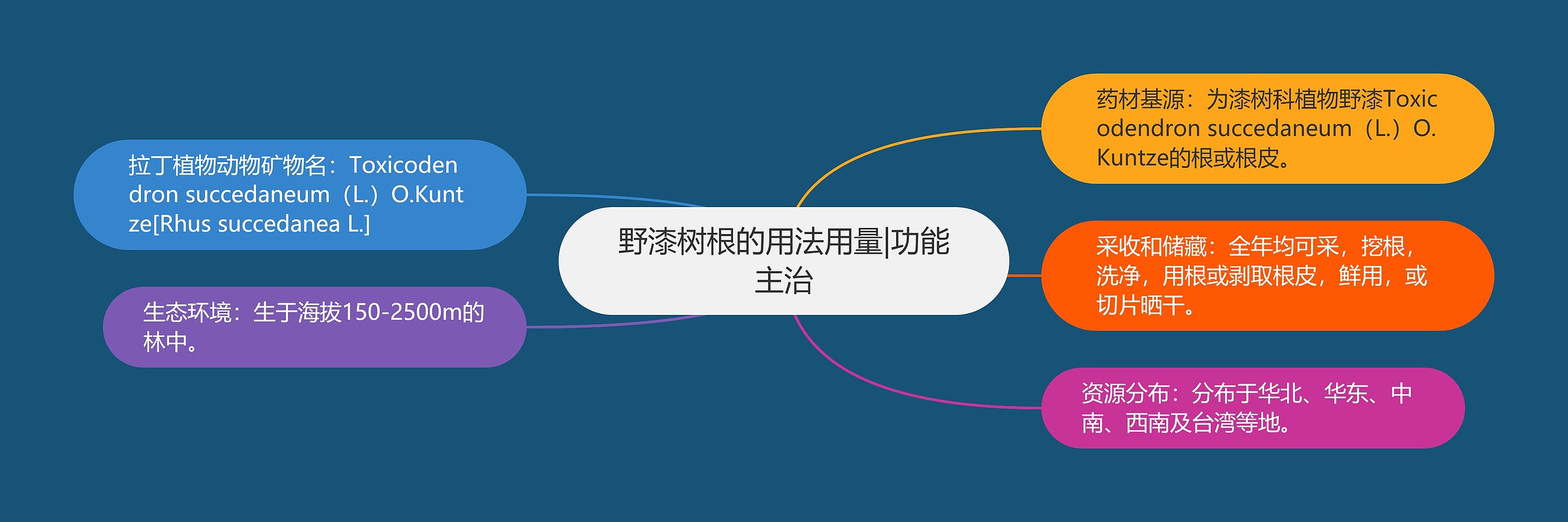 野漆树根的用法用量|功能主治 野漆树根的用法用量|功能主治
