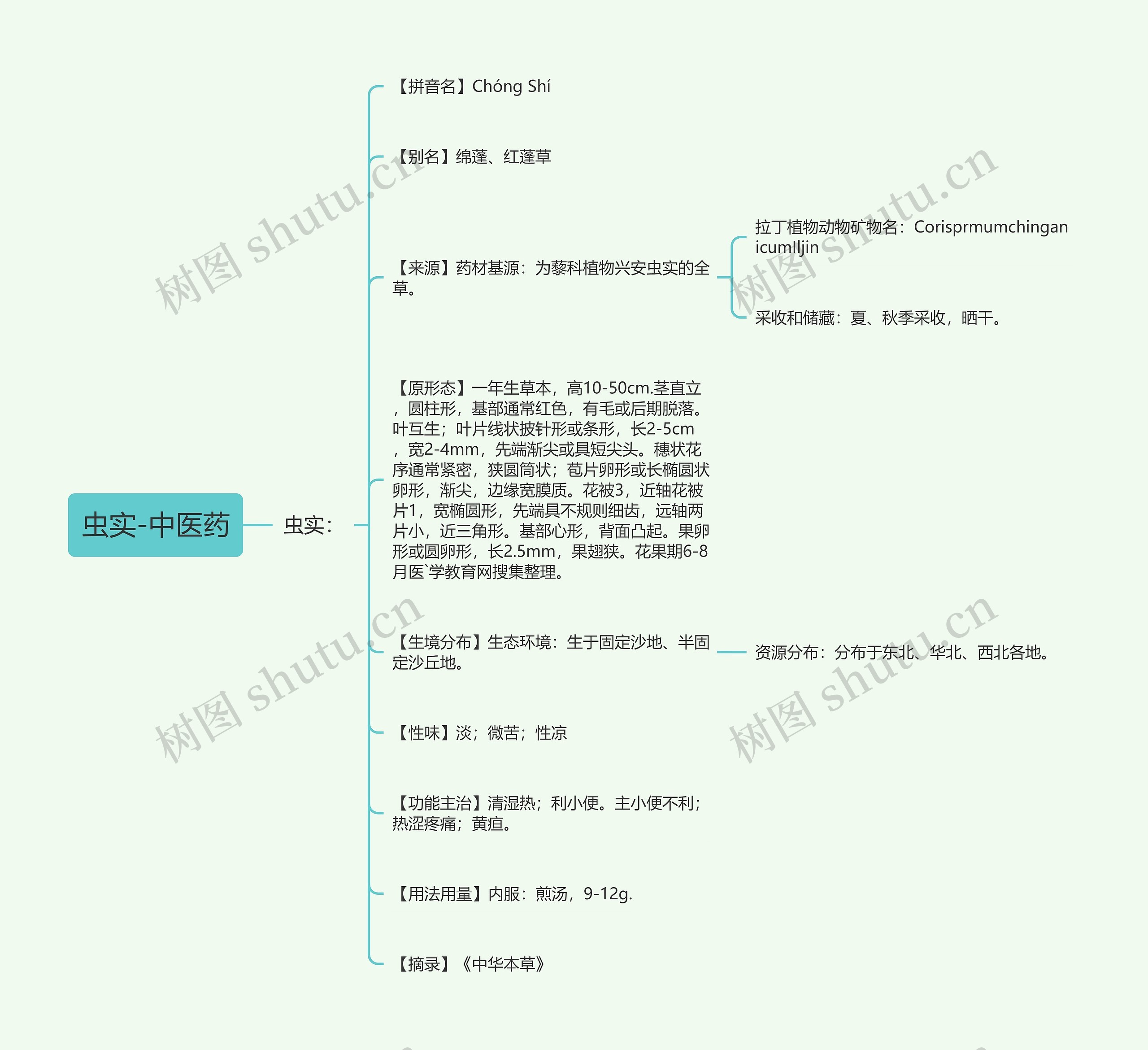 虫实-中医药 虫实-中医药