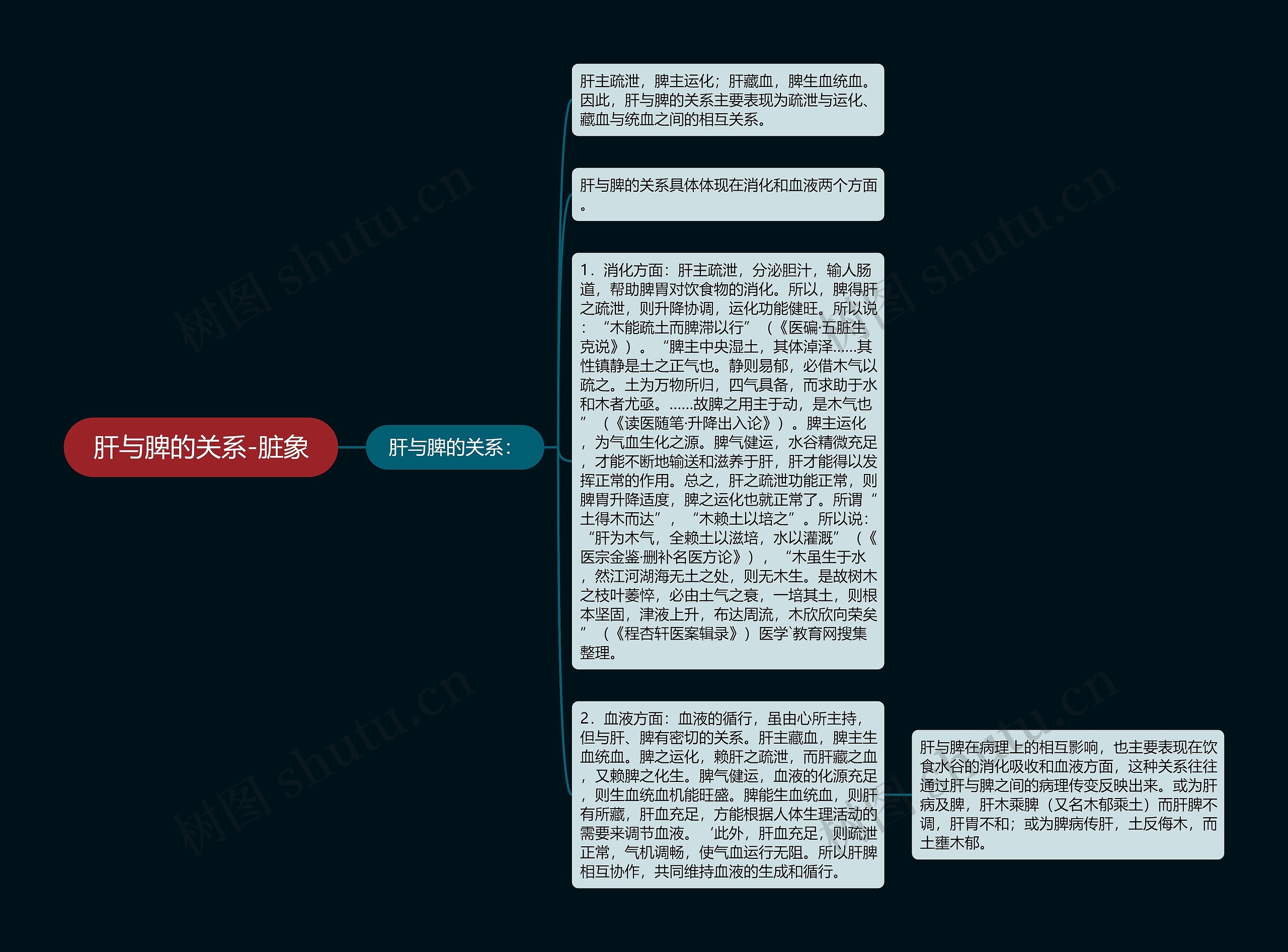 肝与脾的关系-脏象思维导图