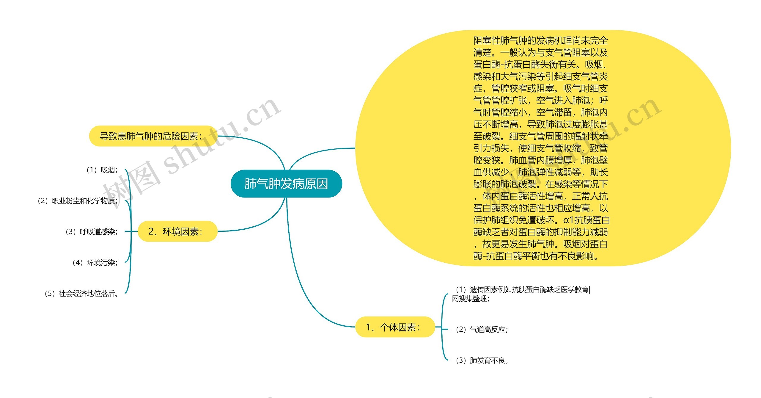 肺气肿发病原因思维导图