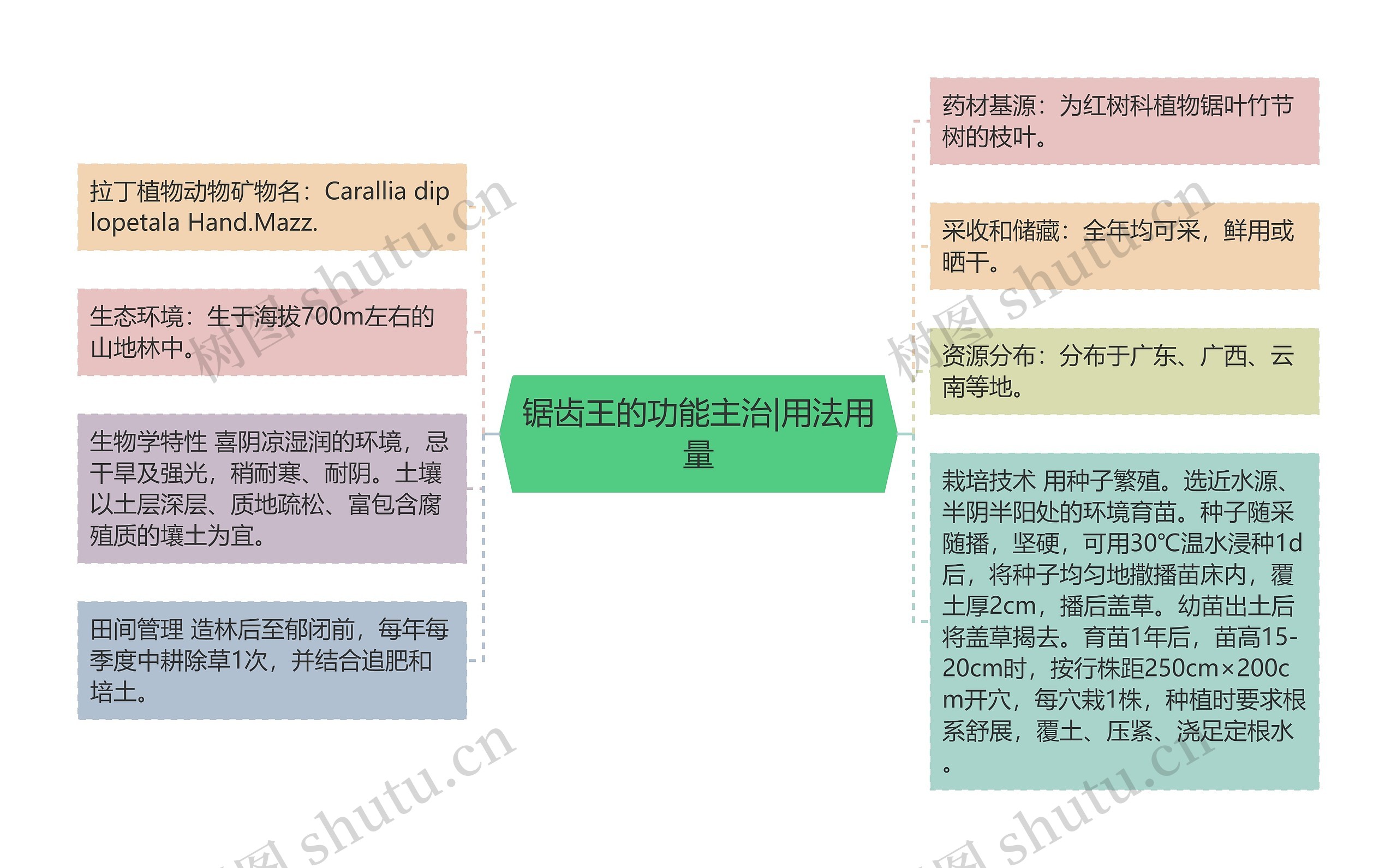 锯齿王的功能主治|用法用量 锯齿王的功能主治|用法用量