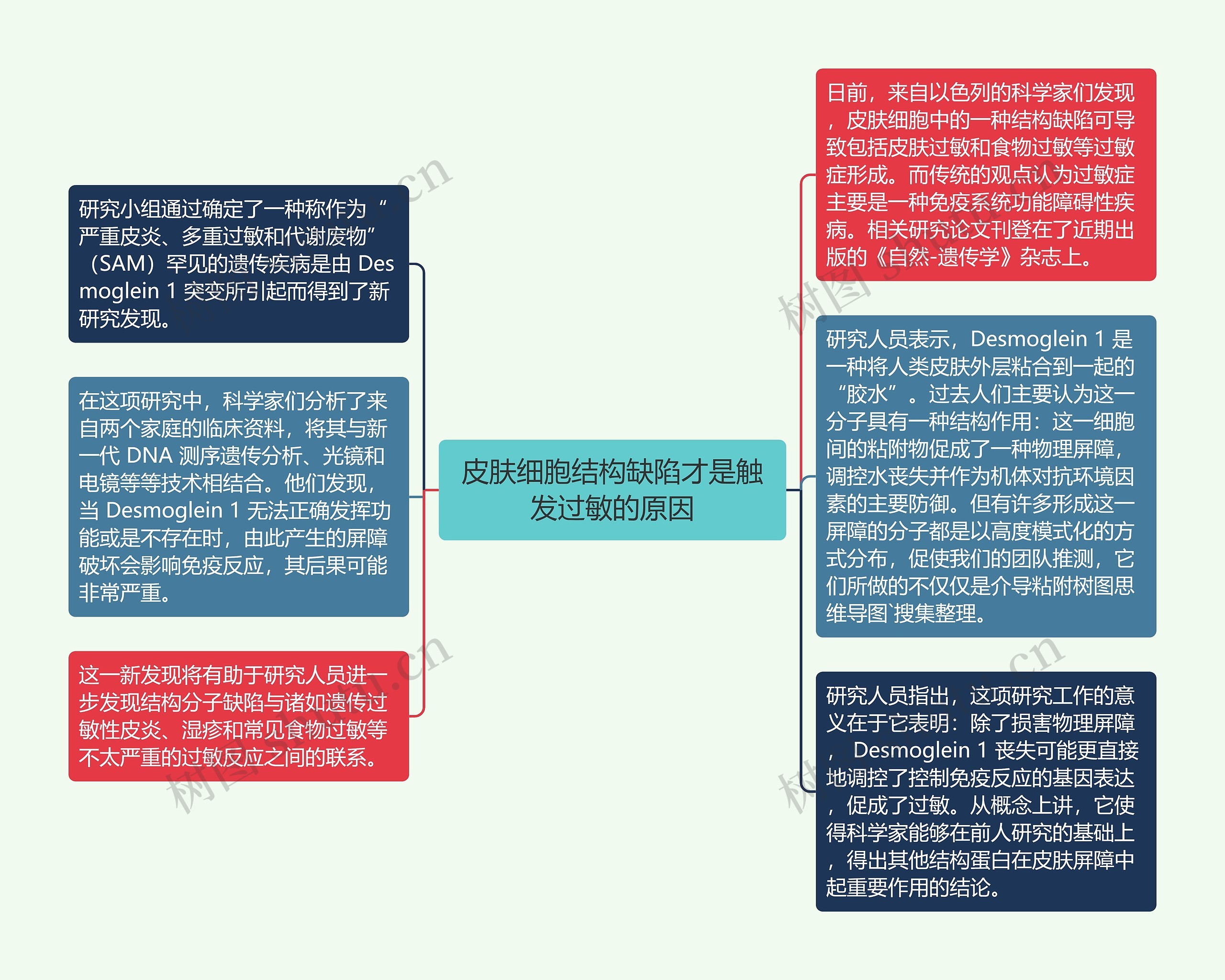 皮肤细胞结构缺陷才是触发过敏的原因思维导图