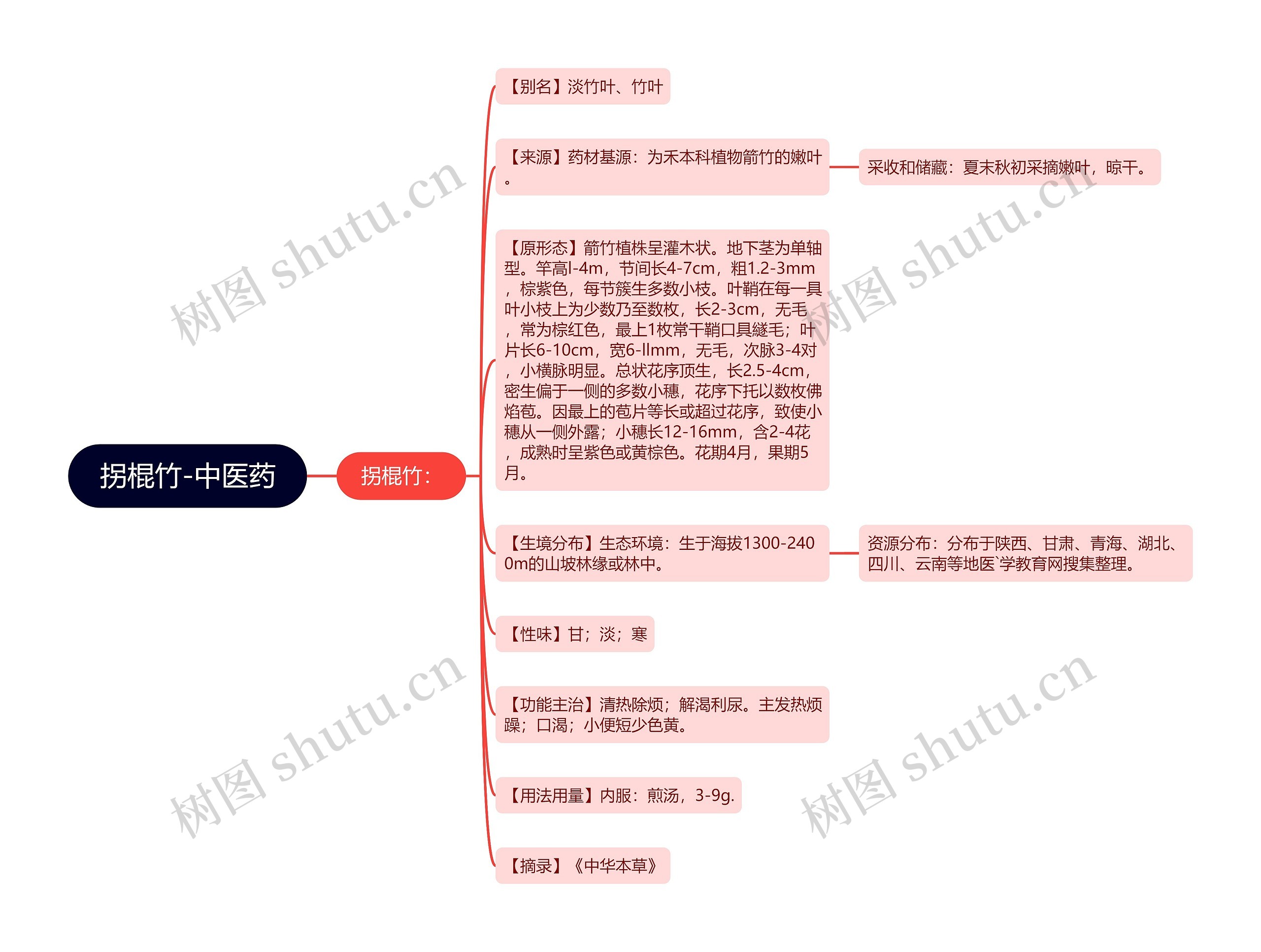 拐棍竹-中医药思维导图