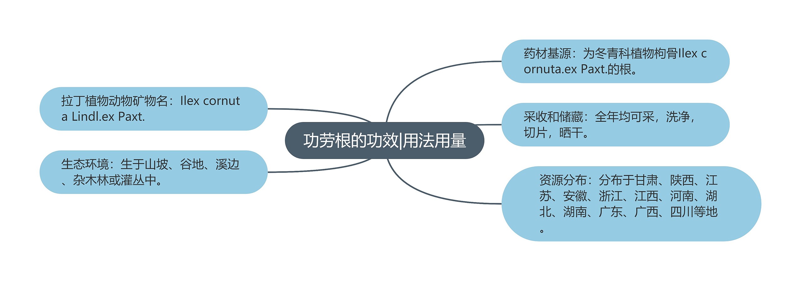 功劳根的功效|用法用量思维导图