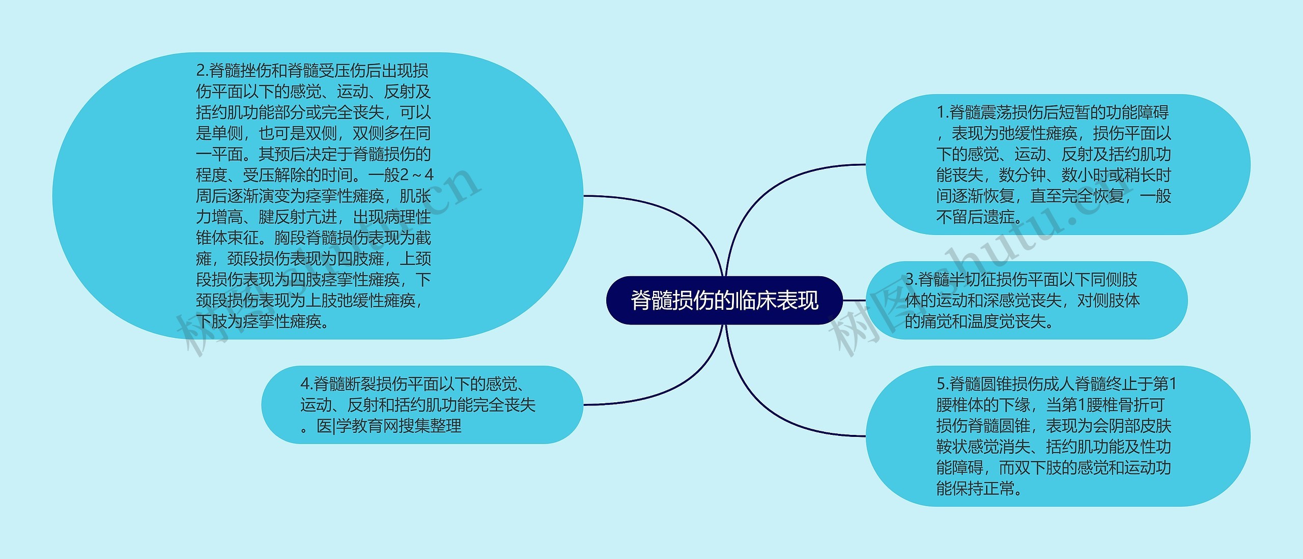 脊髓损伤的临床表现思维导图