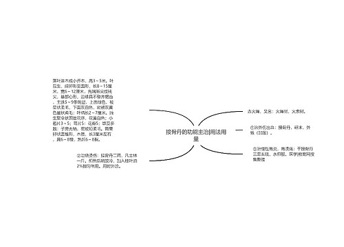 接骨丹的功能主治|用法用量