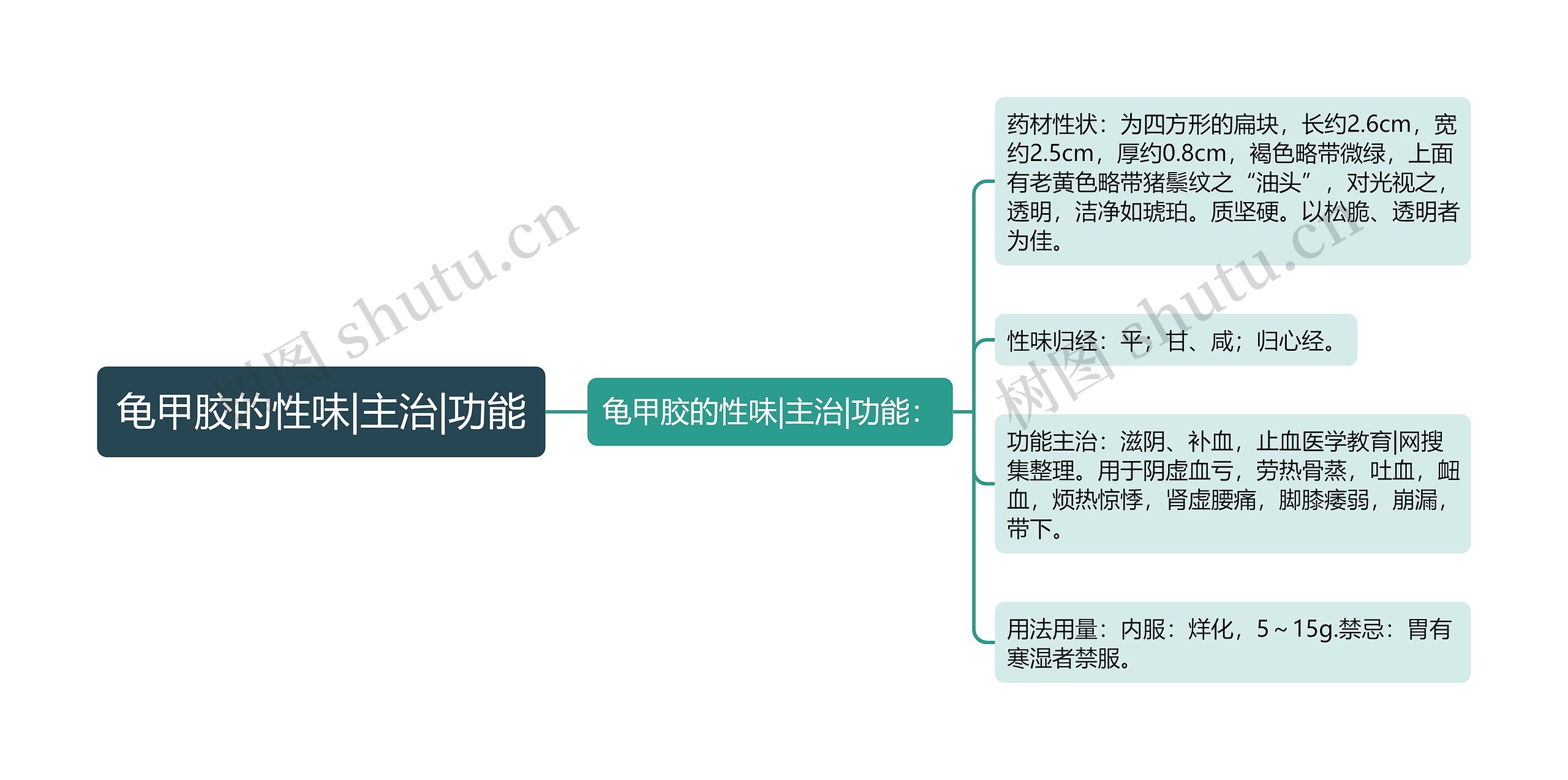 龟甲胶的性味|主治|功能思维导图