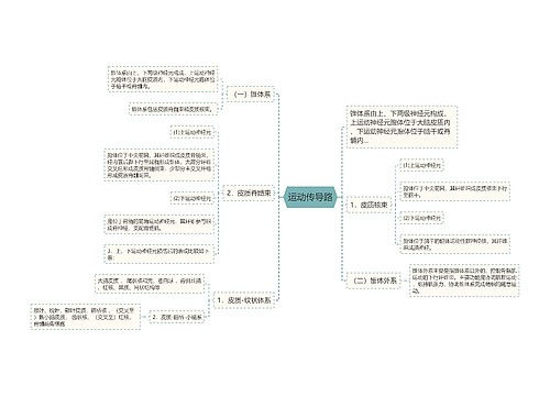 运动传导路