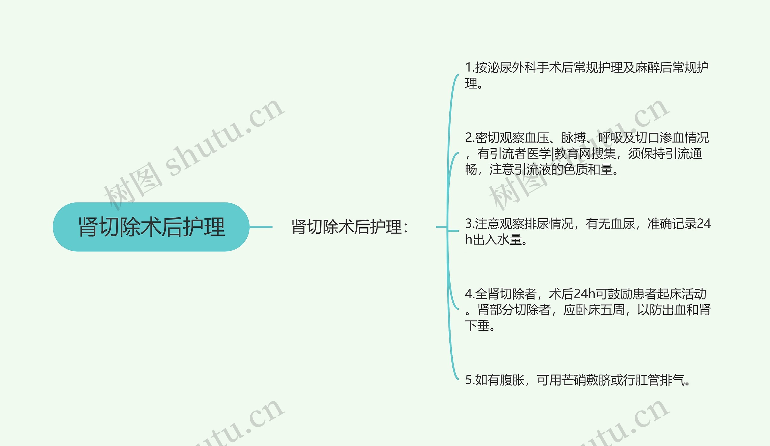 肾切除术后护理 肾切除术后护理