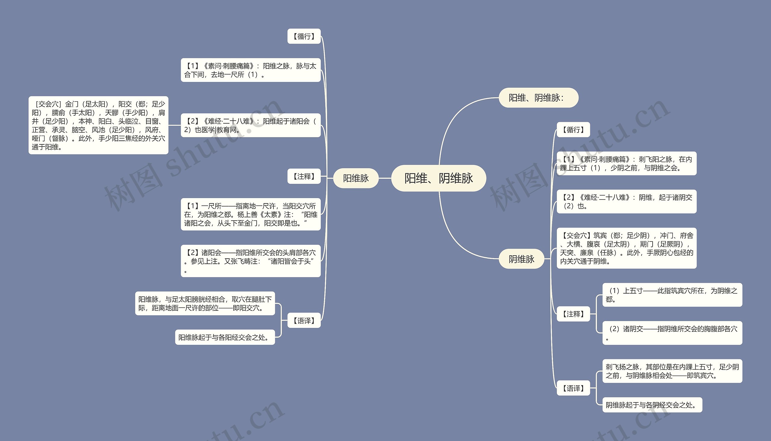 阳维、阴维脉思维导图