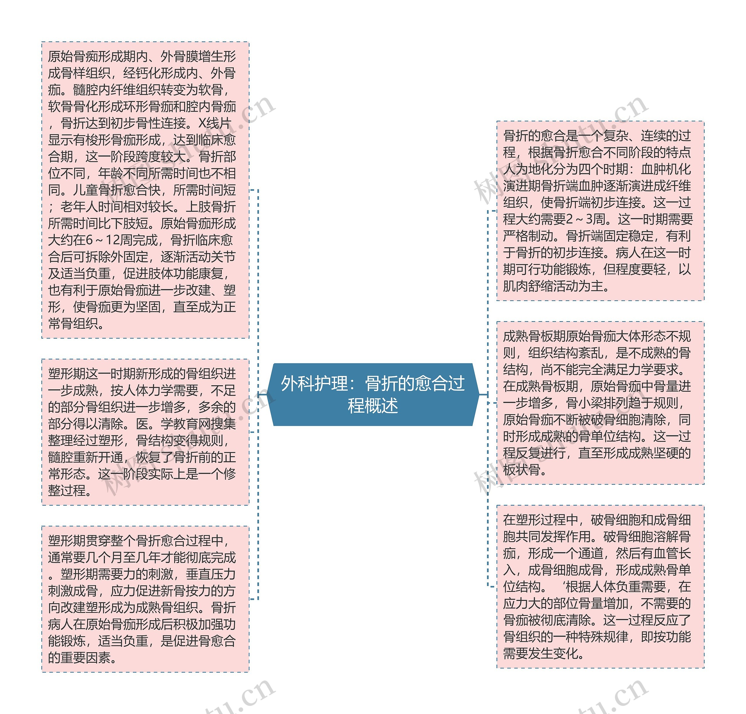 外科护理：骨折的愈合过程概述思维导图