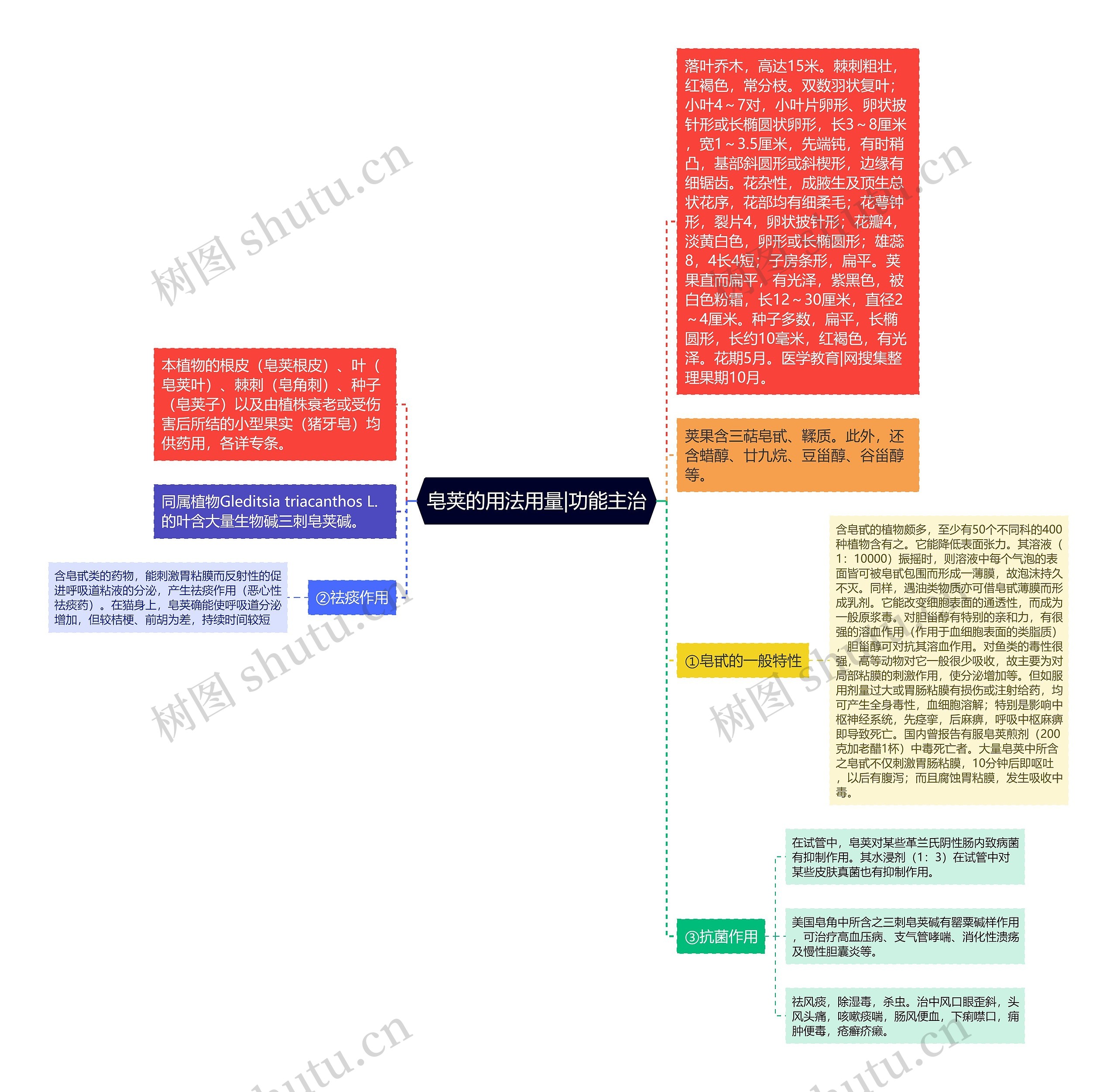 皂荚的用法用量|功能主治思维导图