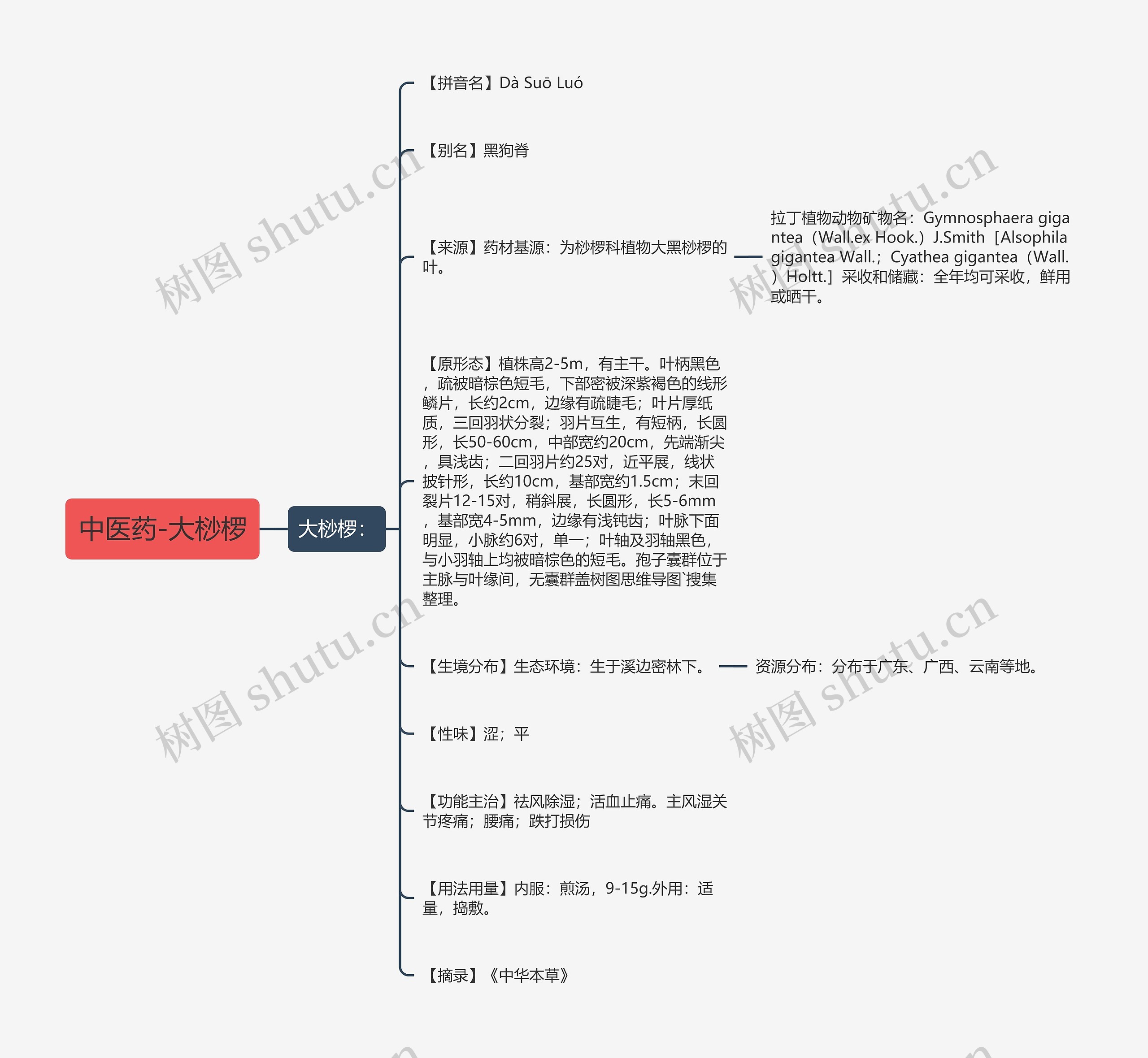 中医药-大桫椤思维导图