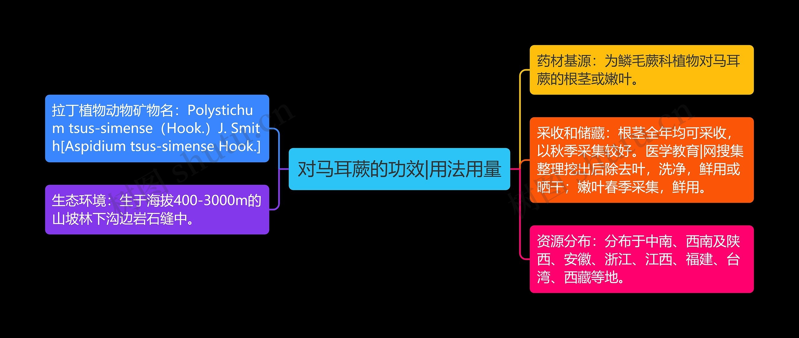 对马耳蕨的功效|用法用量思维导图